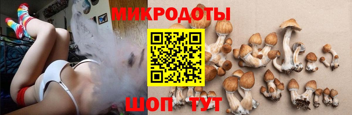 Псилоцибиновые грибы прущие грибы Мегион